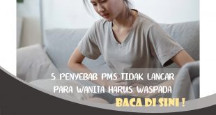 PENYEBAB PMS TIDAK LANCAR