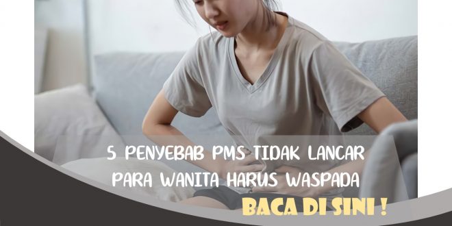 PENYEBAB PMS TIDAK LANCAR