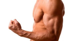 how to get big biceps