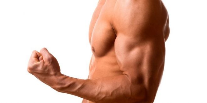 how to get big biceps