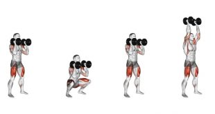 Dumbbell exercises for full body workout