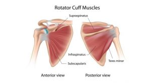 Best rotator cuff exercises