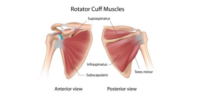 Best rotator cuff exercises
