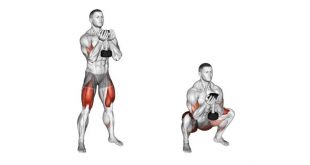 Dumbbell exercises over 60