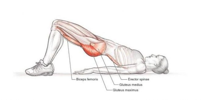 Hip flexor stretches and lower back