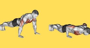 Single best upper body exercise for after 60