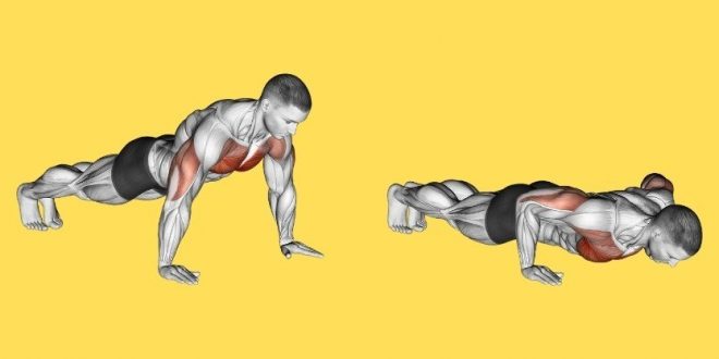 Single best upper body exercise for after 60