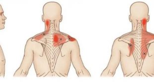 Muscle-Release Movements