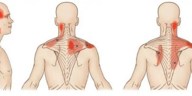 Muscle-Release Movements