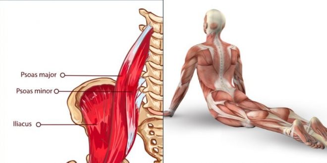 Psoas muscle stretch