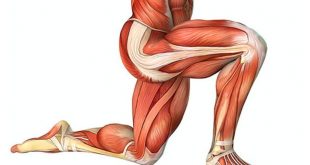 best 5 stretches for tight hips