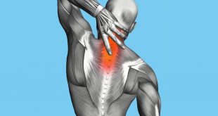 Exercises for upper back pain relief