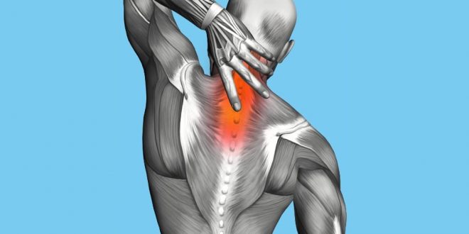 Exercises for upper back pain relief
