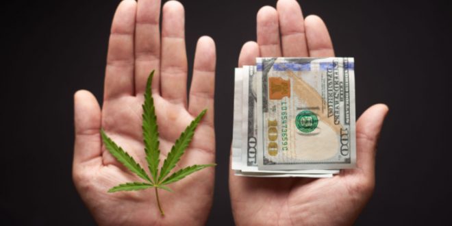 best marijuana stocks money