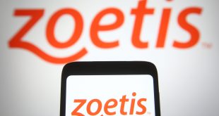 Zoetis Stock (NYSE:ZTS): Analis Dengan Suara Bulat Bullish Meskipun Jatuh Tahun Lalu